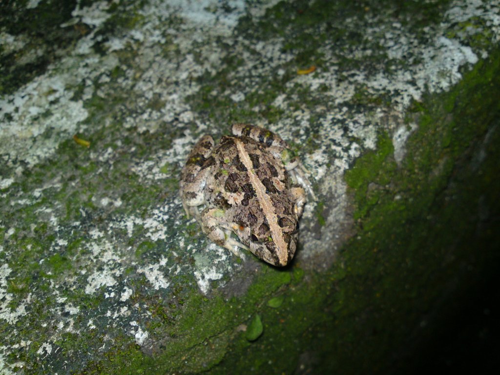 «ö¦¹¦b·sµøµ¡ÂsÄý¹Ï¤ù