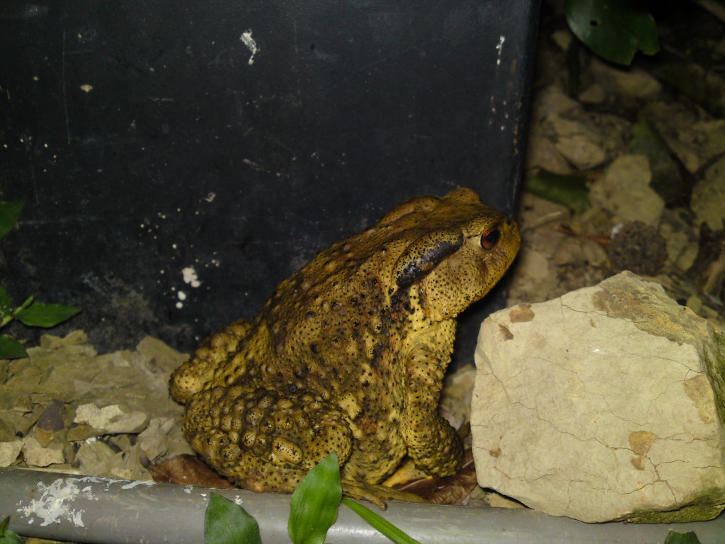 «ö¦¹¦b·sµøµ¡ÂsÄý¹Ï¤ù