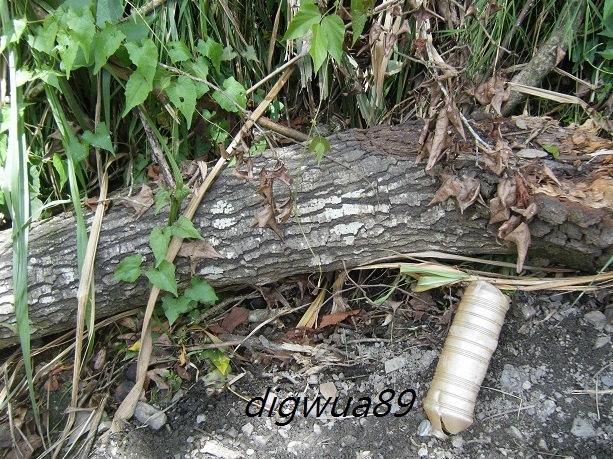 «ö¦¹¦b·sµøµ¡ÂsÄý¹Ï¤ù