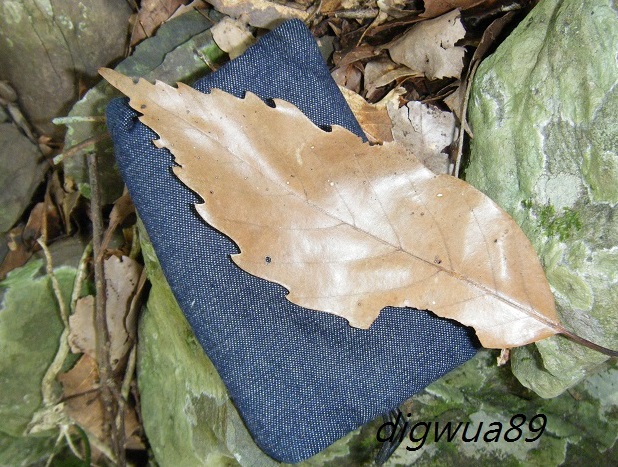 «ö¦¹¦b·sµøµ¡ÂsÄý¹Ï¤ù