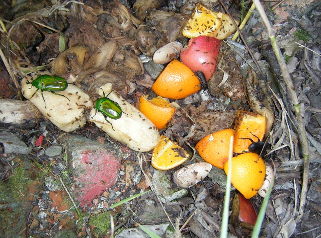 «ö¦¹¦b·sµøµ¡ÂsÄý¹Ï¤ù