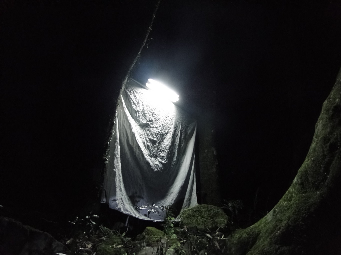 «ö¦¹¦b·sµøµ¡ÂsÄý¹Ï¤ù