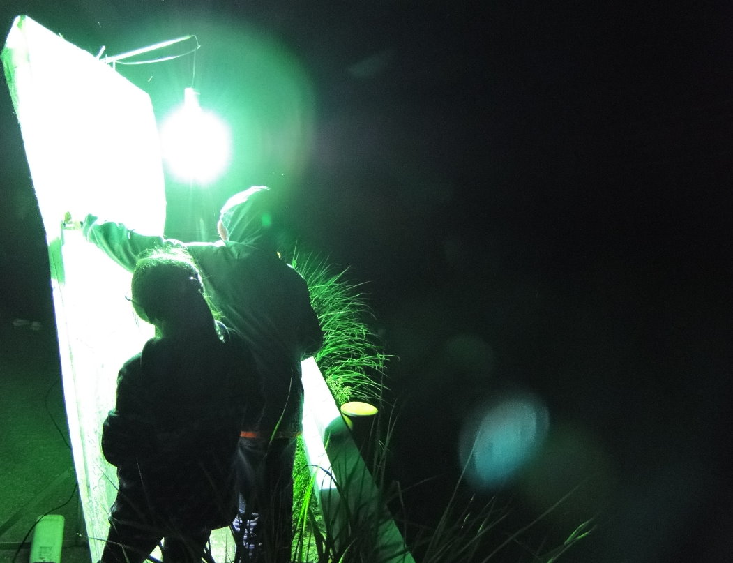 «ö¦¹¦b·sµøµ¡ÂsÄý¹Ï¤ù