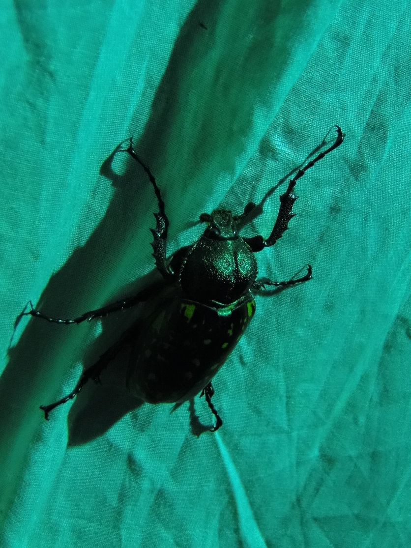 «ö¦¹¦b·sµøµ¡ÂsÄý¹Ï¤ù