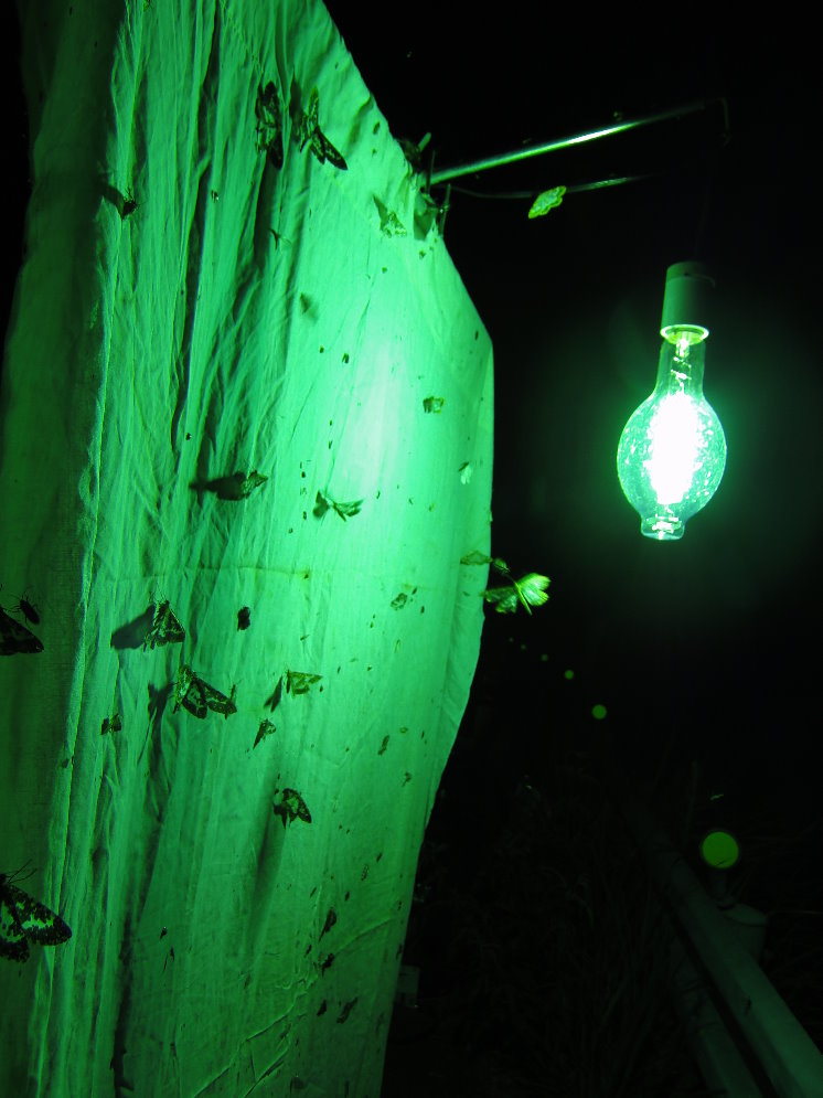 «ö¦¹¦b·sµøµ¡ÂsÄý¹Ï¤ù