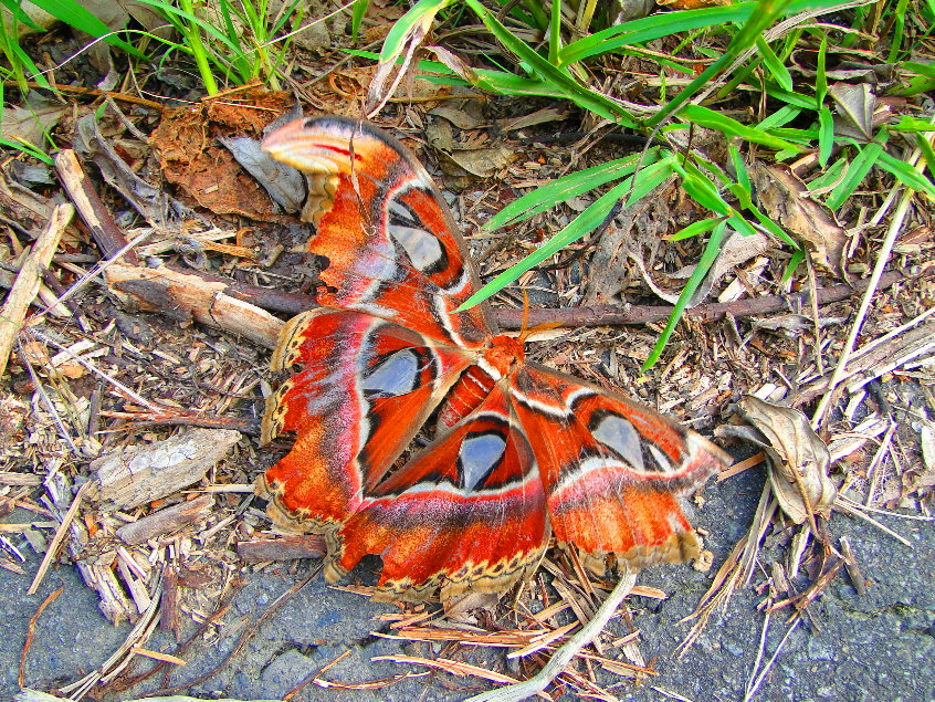 «ö¦¹¦b·sµøµ¡ÂsÄý¹Ï¤ù