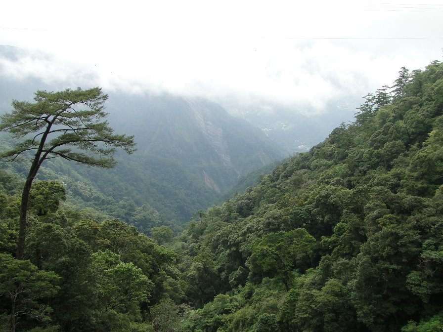 «ö¦¹¦b·sµøµ¡ÂsÄý¹Ï¤ù