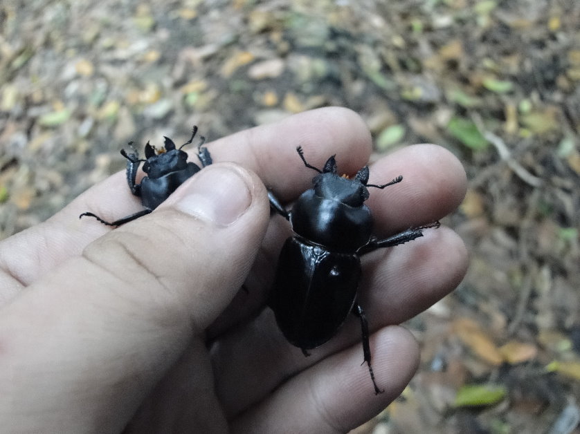 «ö¦¹¦b·sµøµ¡ÂsÄý¹Ï¤ù