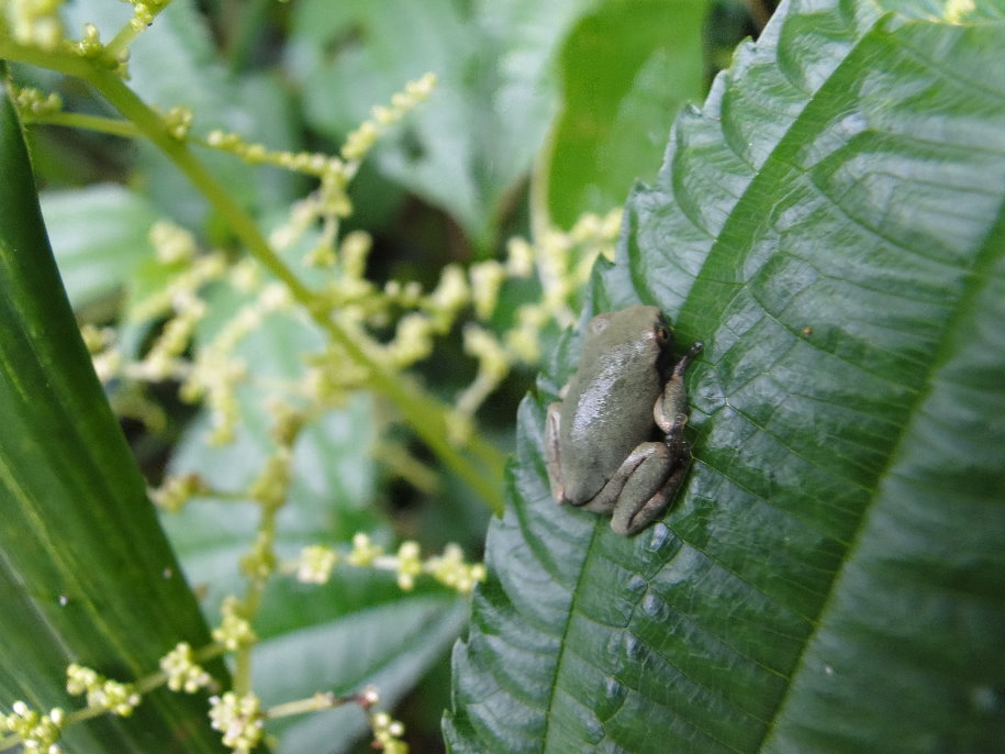 «ö¦¹¦b·sµøµ¡ÂsÄý¹Ï¤ù