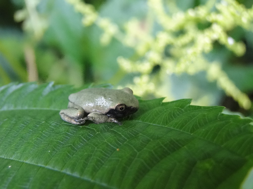 «ö¦¹¦b·sµøµ¡ÂsÄý¹Ï¤ù