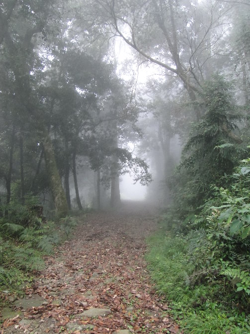 «ö¦¹¦b·sµøµ¡ÂsÄý¹Ï¤ù