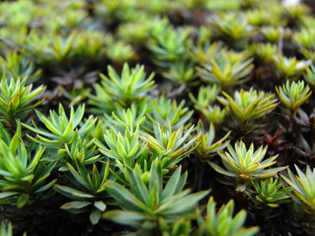 «ö¦¹¦b·sµøµ¡ÂsÄý¹Ï¤ù