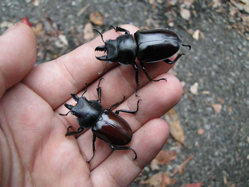 «ö¦¹¦b·sµøµ¡ÂsÄý¹Ï¤ù