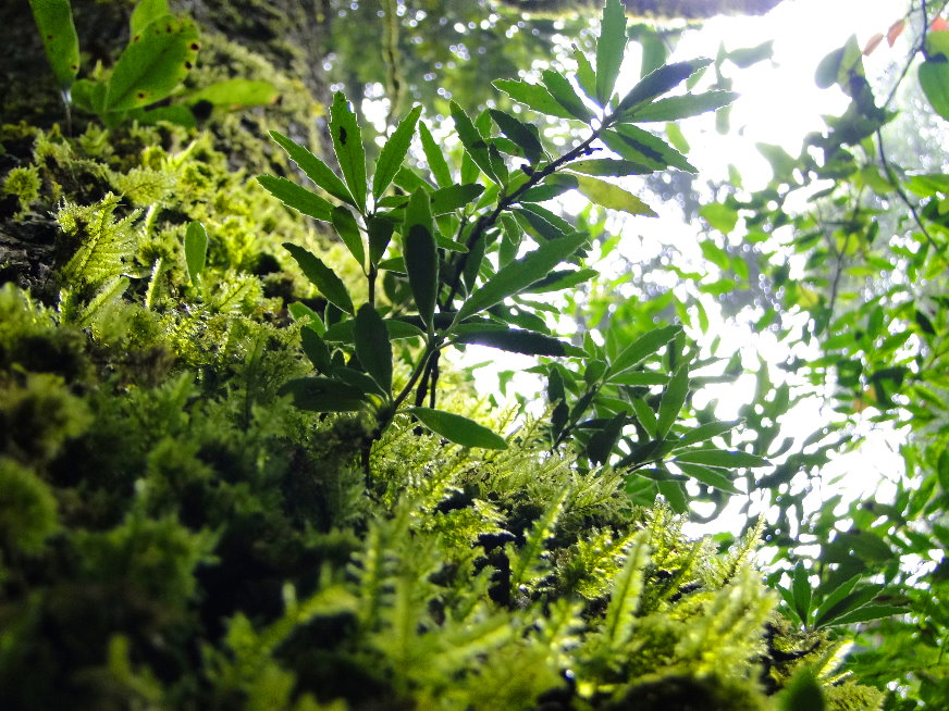 «ö¦¹¦b·sµøµ¡ÂsÄý¹Ï¤ù