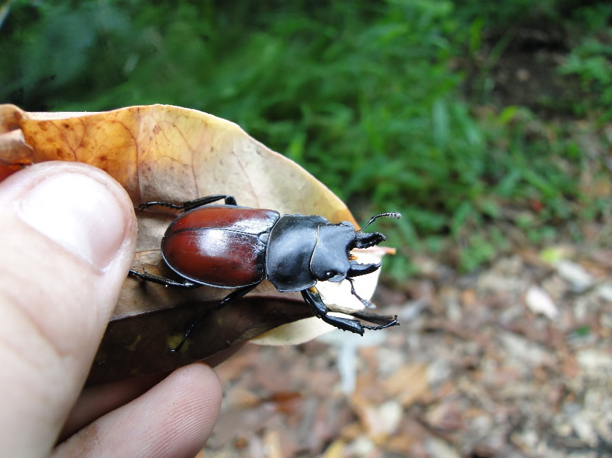 «ö¦¹¦b·sµøµ¡ÂsÄý¹Ï¤ù