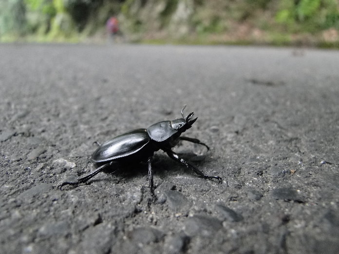 «ö¦¹¦b·sµøµ¡ÂsÄý¹Ï¤ù