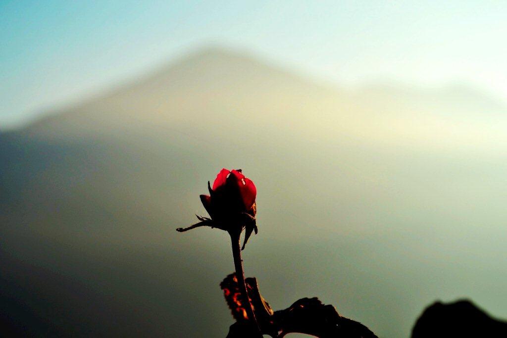 «ö¦¹¦b·sµøµ¡ÂsÄý¹Ï¤ù