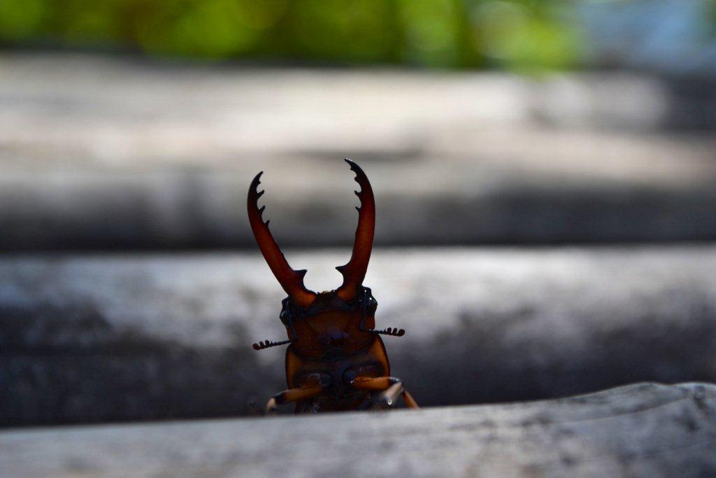 «ö¦¹¦b·sµøµ¡ÂsÄý¹Ï¤ù