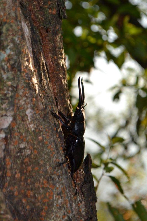 «ö¦¹¦b·sµøµ¡ÂsÄý¹Ï¤ù