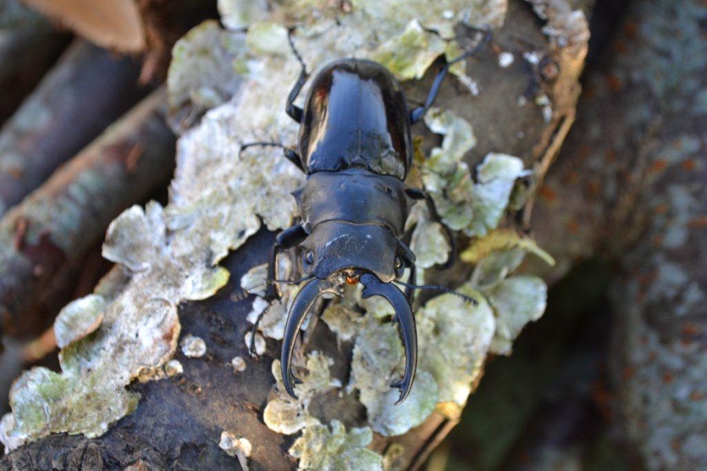 «ö¦¹¦b·sµøµ¡ÂsÄý¹Ï¤ù