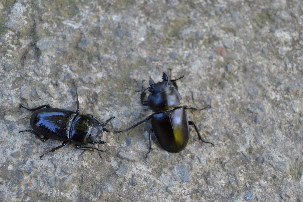 «ö¦¹¦b·sµøµ¡ÂsÄý¹Ï¤ù