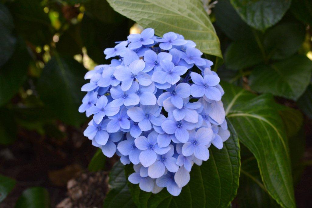 «ö¦¹¦b·sµøµ¡ÂsÄý¹Ï¤ù