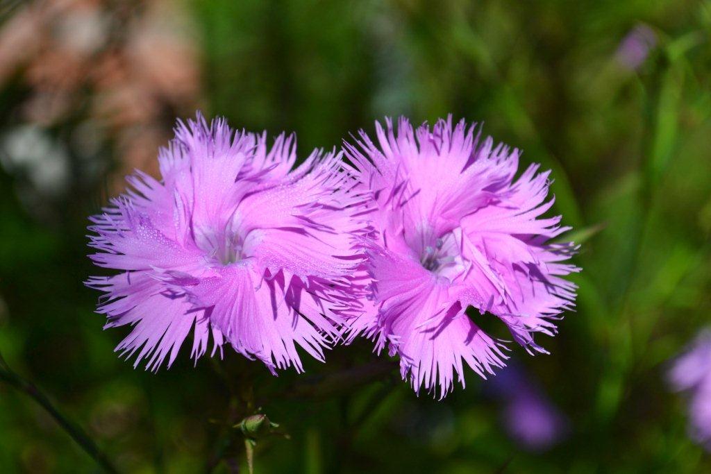 «ö¦¹¦b·sµøµ¡ÂsÄý¹Ï¤ù