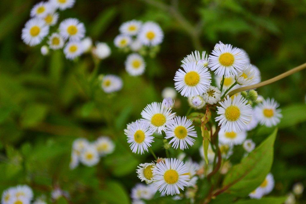 «ö¦¹¦b·sµøµ¡ÂsÄý¹Ï¤ù