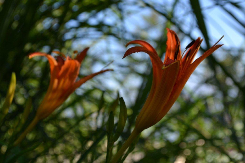 «ö¦¹¦b·sµøµ¡ÂsÄý¹Ï¤ù