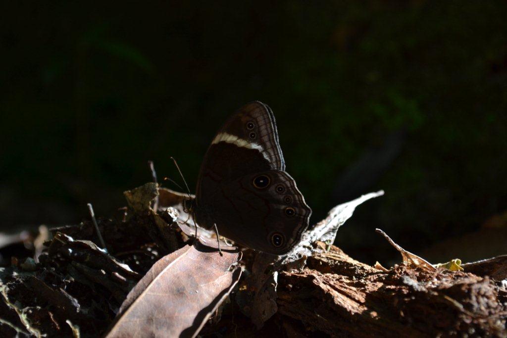 «ö¦¹¦b·sµøµ¡ÂsÄý¹Ï¤ù