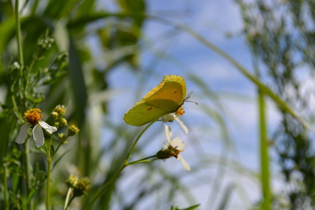 «ö¦¹¦b·sµøµ¡ÂsÄý¹Ï¤ù