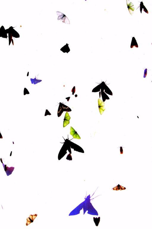 «ö¦¹¦b·sµøµ¡ÂsÄý¹Ï¤ù