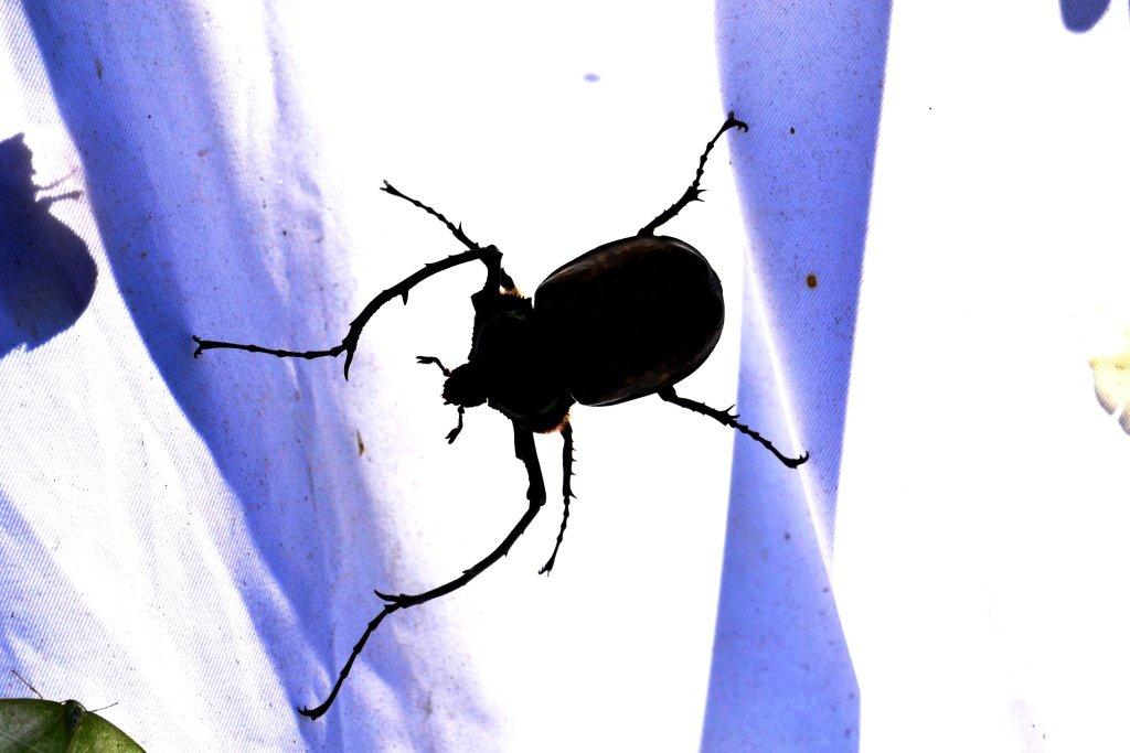 «ö¦¹¦b·sµøµ¡ÂsÄý¹Ï¤ù