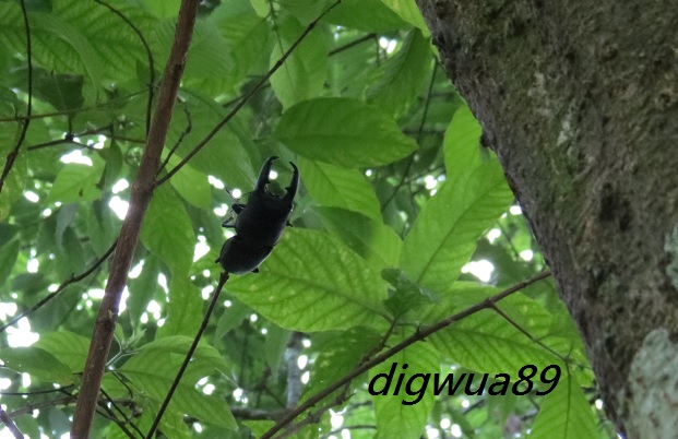 «ö¦¹¦b·sµøµ¡ÂsÄý¹Ï¤ù