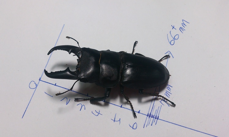 «ö¦¹¦b·sµøµ¡ÂsÄý¹Ï¤ù