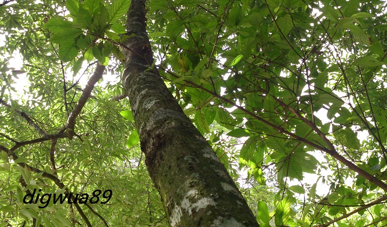 «ö¦¹¦b·sµøµ¡ÂsÄý¹Ï¤ù