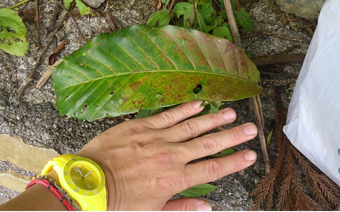 «ö¦¹¦b·sµøµ¡ÂsÄý¹Ï¤ù