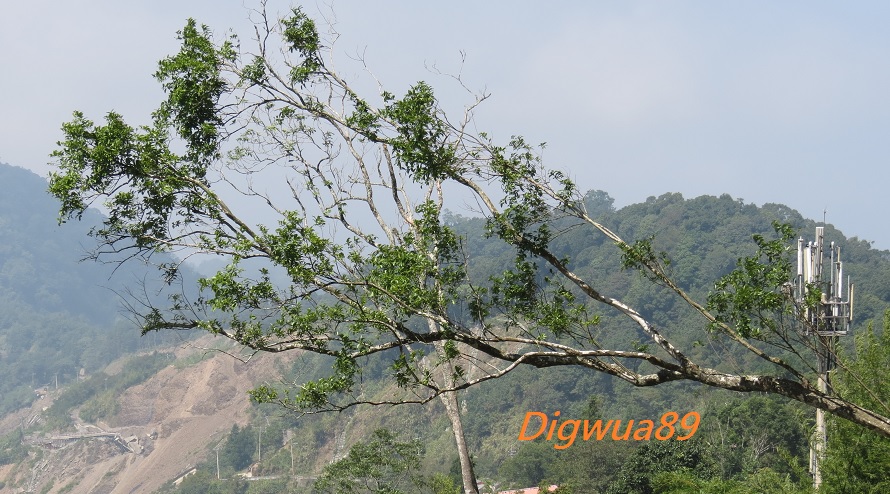 «ö¦¹¦b·sµøµ¡ÂsÄý¹Ï¤ù