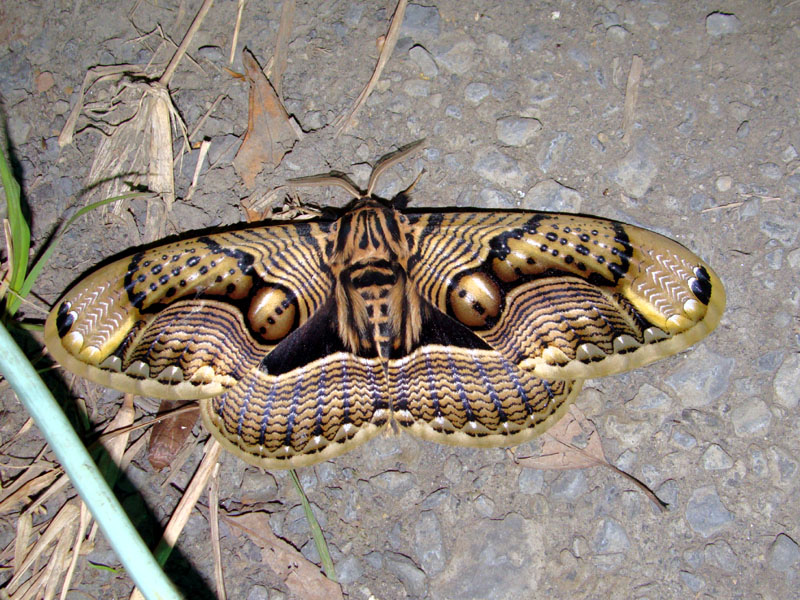 «ö¦¹¦b·sµøµ¡ÂsÄý¹Ï¤ù