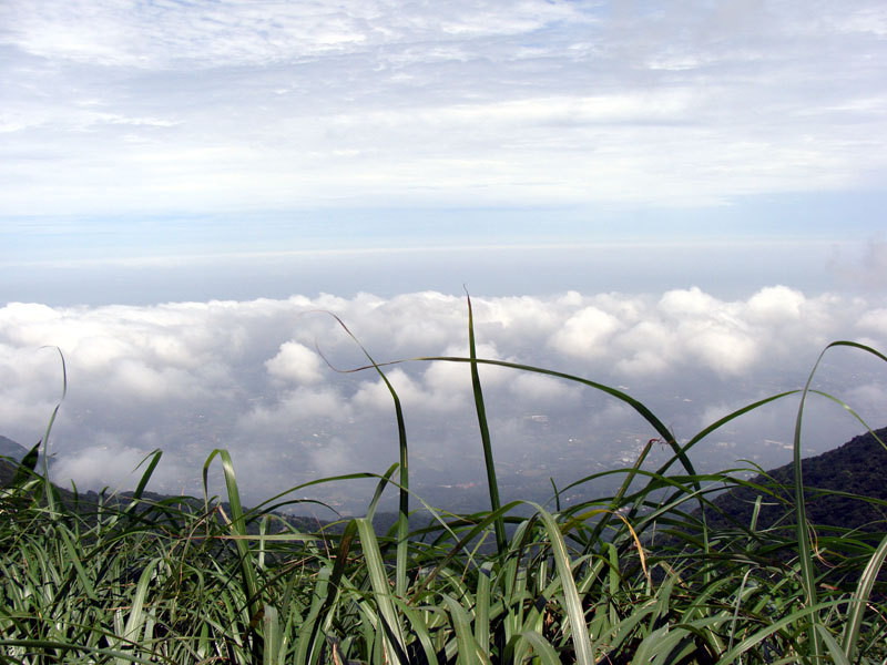 «ö¦¹¦b·sµøµ¡ÂsÄý¹Ï¤ù