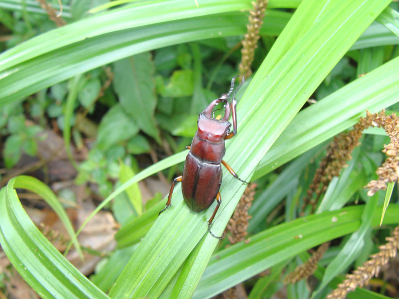 «ö¦¹¦b·sµøµ¡ÂsÄý¹Ï¤ù