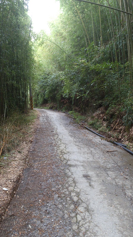 «ö¦¹¦b·sµøµ¡ÂsÄý¹Ï¤ù