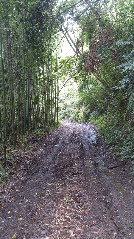 «ö¦¹¦b·sµøµ¡ÂsÄý¹Ï¤ù