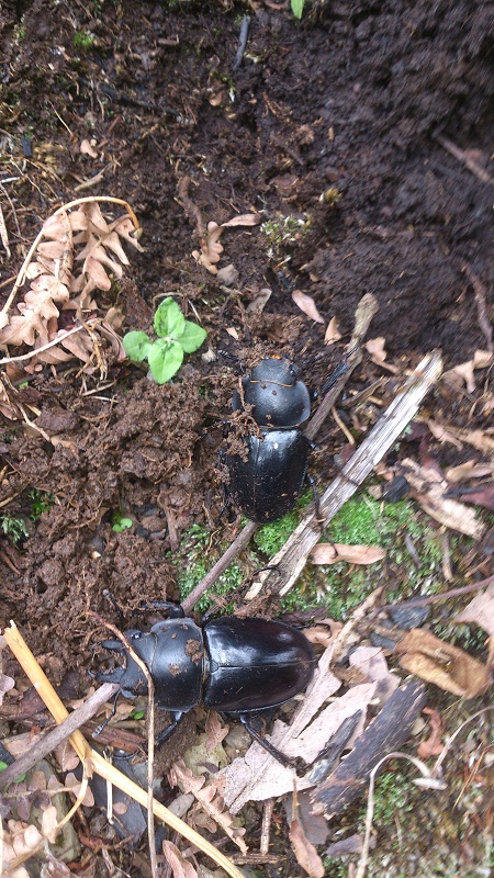 «ö¦¹¦b·sµøµ¡ÂsÄý¹Ï¤ù