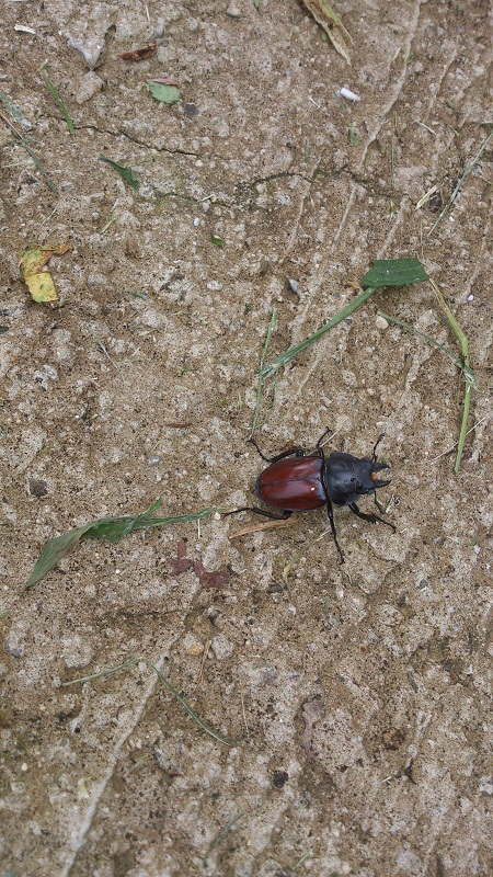 «ö¦¹¦b·sµøµ¡ÂsÄý¹Ï¤ù