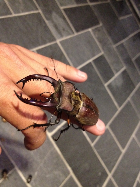 «ö¦¹¦b·sµøµ¡ÂsÄý¹Ï¤ù