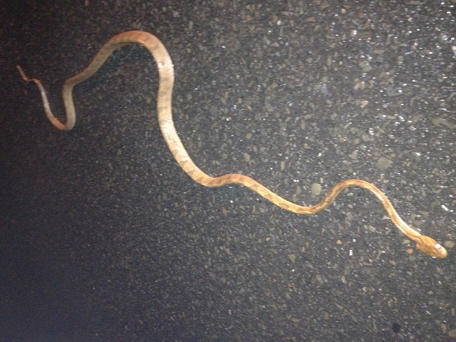 «ö¦¹¦b·sµøµ¡ÂsÄý¹Ï¤ù