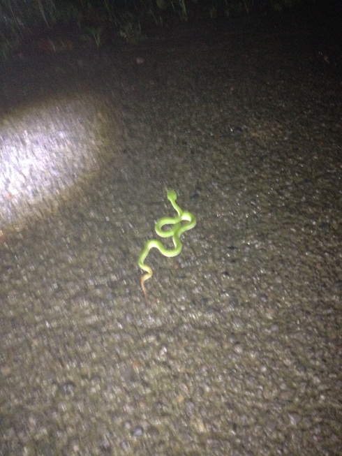 «ö¦¹¦b·sµøµ¡ÂsÄý¹Ï¤ù