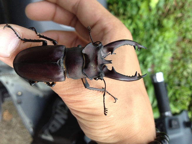 «ö¦¹¦b·sµøµ¡ÂsÄý¹Ï¤ù