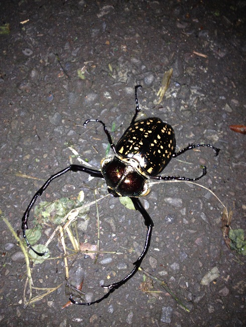 «ö¦¹¦b·sµøµ¡ÂsÄý¹Ï¤ù